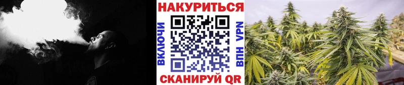 Купить закладку Cocaine  Мефедрон  ГАШ  Конопля  Алзамай