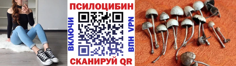Псилоцибиновые грибы прущие грибы  Купить где  Алзамай 