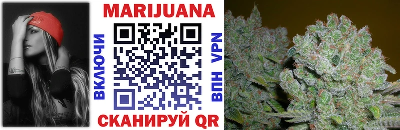 Купить закладки  Алзамай  Каннабис SATIVA & INDICA 